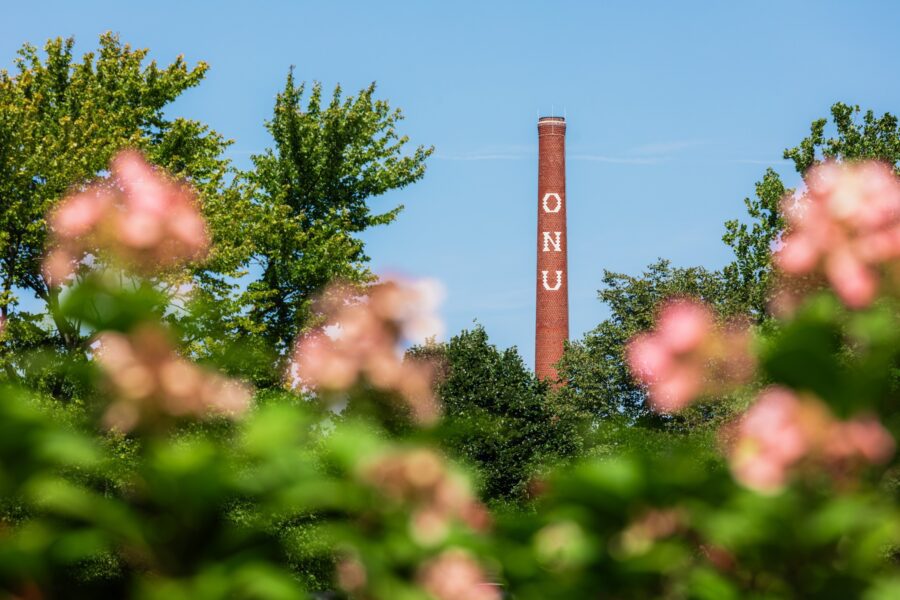 clock tower through trees