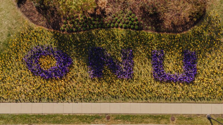 ONU flags 