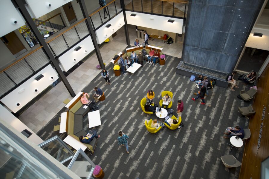 Reed lounge from above