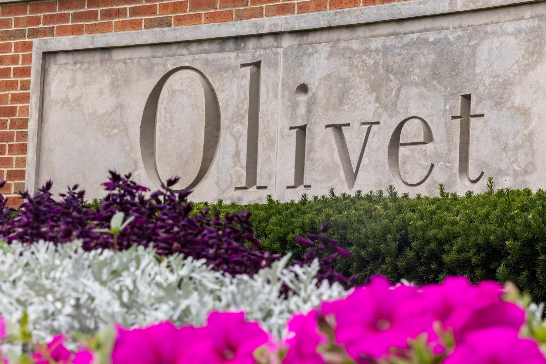 flowers around Olivet sign